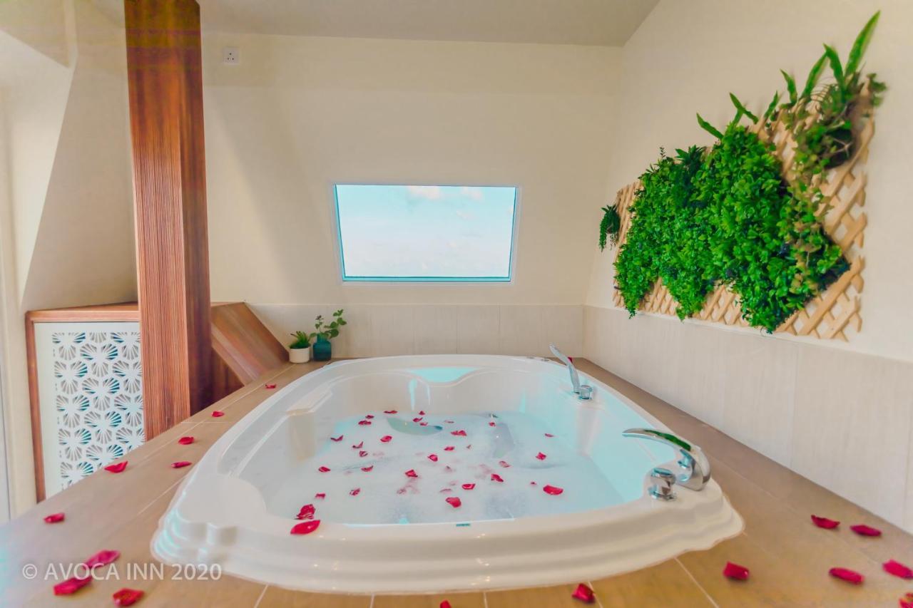 Avoca 4*