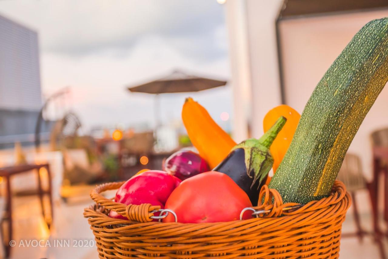 Avoca Hulhumale